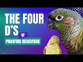 The Four D's of Proofing a Behaviour | Flock Talks