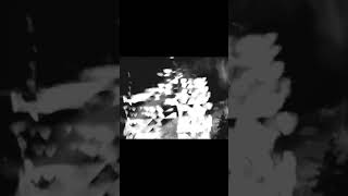 new LP by Through a Glass, Darkly #doomgaze #postrock #ambientmusic #newmusic