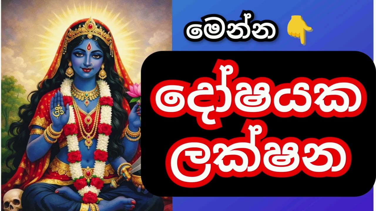 දෝෂයක මූලික ලක්ෂණ සහ ඒ වර්ධනය වීමේ ලක්ෂන  සහ විකල්ප ⭕ පරමේශ්වරී ගුරුකුලය 0703191567