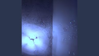 Untitled 1103
