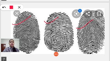 EVS 2-CLASS 4A&C(RECAPITULATION OF L1)#25/06/20@SFS NARENGI