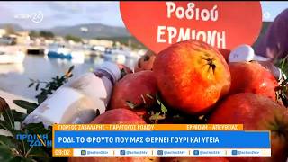 Ερμιόνη - Γιορτή του Ροδιού: Το φρούτο που μας φέρνει γούρι και υγεία | ACTION 24