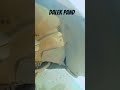 🔥 Dalek Panda Broke Down at Bypass in Benin | Mechanic Quick Fix #dalek #panda #bypass #benin #mecha