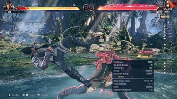 T8 shaheen ws3 loop combo