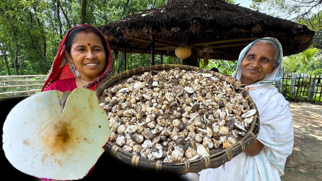 সোনাঝুরি বাগানের প্রাকৃতিক মাশরুম তুলে এনে মা ঠাকুমার হাতে রান্না | Natural wild mushroom cooking