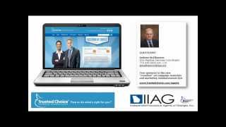 How Trusted Choice and IIAG are working for YOU - Short version
