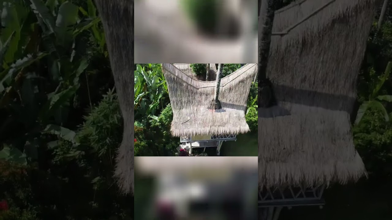 Hidden Paradise Found: Bamboo Hut & Rice Paddy Escape!