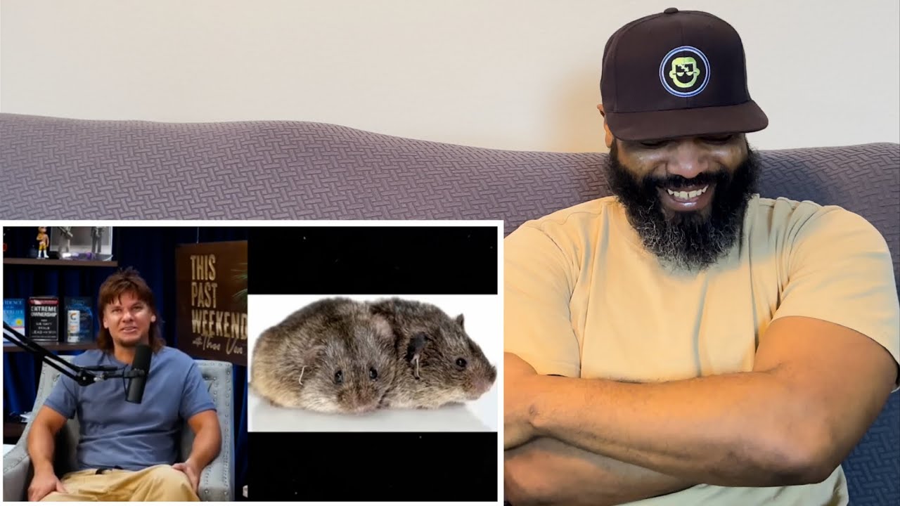 Theo Von - Funniest Moments Reaction