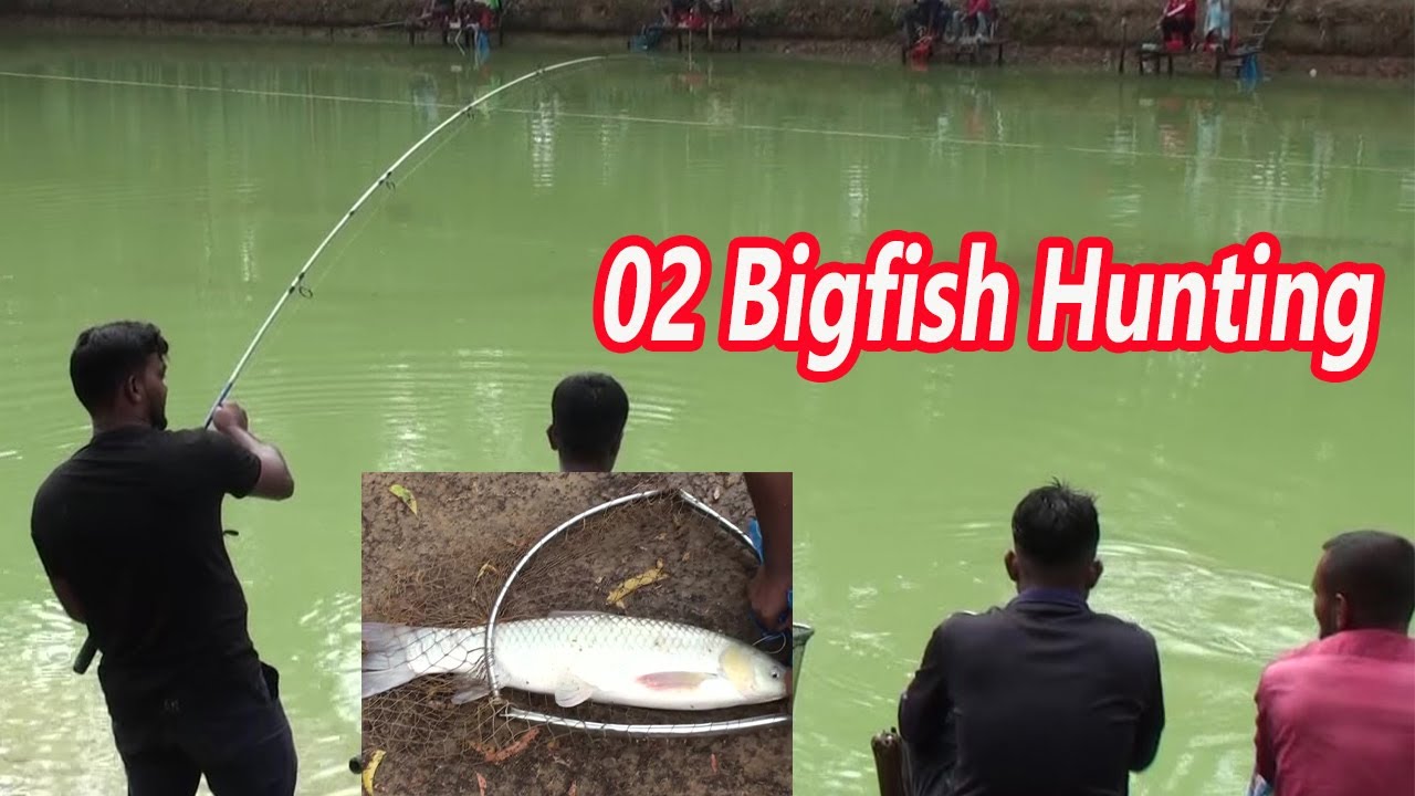 How To Catch Carp Easily I Big Carp Fishing Videos YouTube I fish