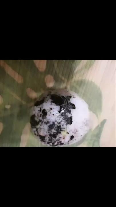 Boules de riz façon Coréenne🇰🇷🫶🏻#koreanfood #koreanstreetfood #cuisinecoréenne #cuisinedumonde