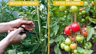 The Art of Pruning  Secrets to Transform Your Garden into a Paradise!