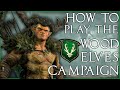 How to Play The Wood Elf Campaign | Total War: Warhammer 2