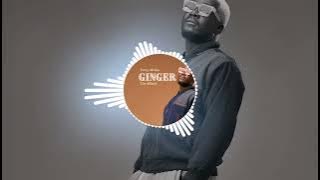 Terry Africa ft TiGonzi   Taingotenda wani