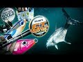 Giant Trevally popping and stickbaiting tackle talk