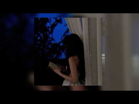 عمار الحبيب حبيبي جاني مسرعة Speed Up Echo حبيبي اجاني غباشي