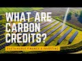 What are carbon credits