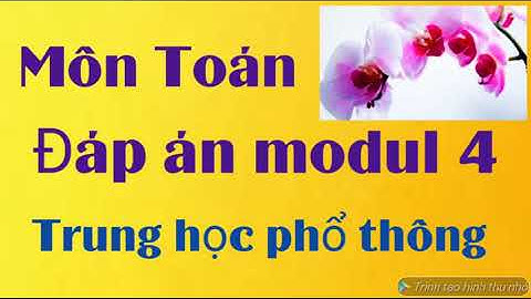 Đáp án modul 4 môn Toán THPT, Trắc nghiệm, tự luận và giáo án. Có Link ở phần mô tả video.