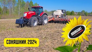 🌻 Соняшник на 35 сівалкою BOURGAULT 🌻