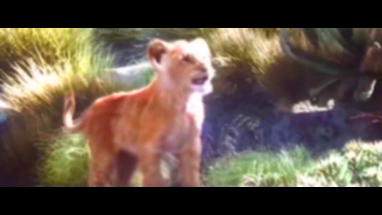 Hakuna Matata - The Lion King 2019 (Español Latino) Hakuna Matata - The Lion King 2019 (Español Latino)