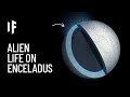 What If We Found Alien Life on Enceladus?