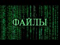 Как НЕ ПОТЕРЯТЬ Самые Важные Файлы на своём Компьютере? + Конкурс на 50$!