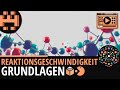 Reaktionsgeschwindigkeit Grundlagen│Chemie Lernvideo [Learning Level Up]