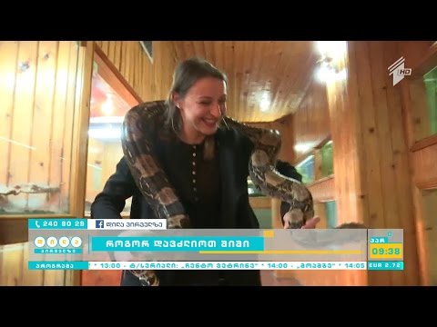 როგორ დავძლიოთ შიშები?