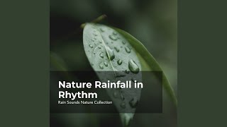Harmonic Earthy Rain