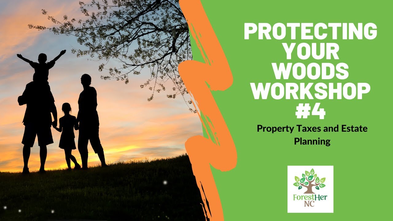 Protecting Your Woods Property Taxes and Estate Planning YouTube