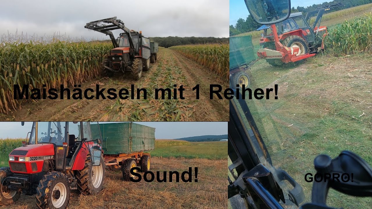 1 Reiher Maishäckseln! Case 3220 und Ursus 904-b mit Vicon 1Reiher in Action!