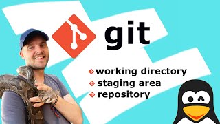 Git | working directory | staging area | repository. Differences.