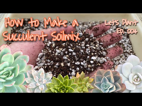 Video: DIY Potting Soil Para sa Succulents – Paggawa ng Sariling Succulent Growing Medium