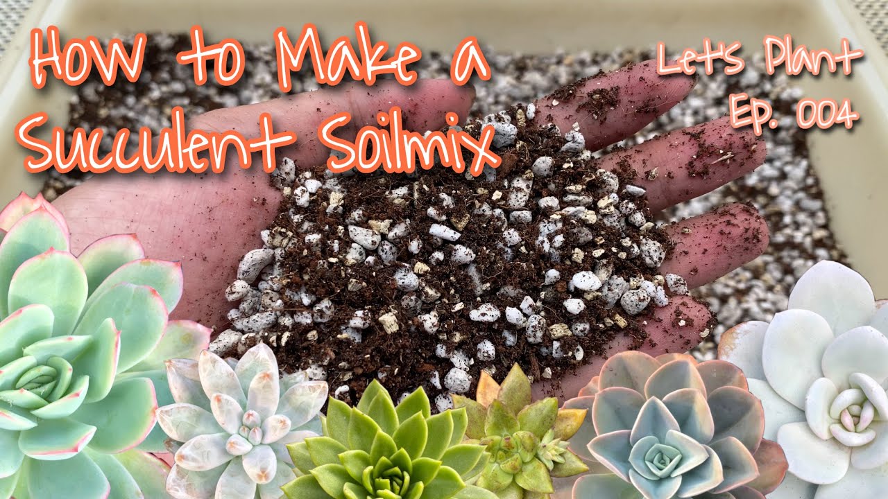 Как приготовить почвенную смесь для суккулентов — секрет выращивания великолепных суккулентов