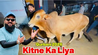 Qurbani 2026 Ka Janwar Kitne Ka Liya | Lahori Shauk | what date purchasing | Shapur Kanjra Lahore 