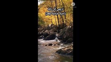 تلاوة عطرة للشيخ محمد الليثي رحمه الله🍃#quran