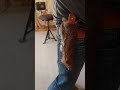 squirrel knife #subscribe #funny #blacksmithing #animals