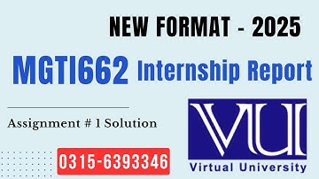 MGTI 662 Internship Report