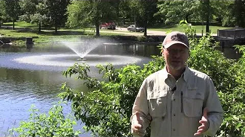 Why Use A Pond Fountain For Pond Or Lake Aeration?