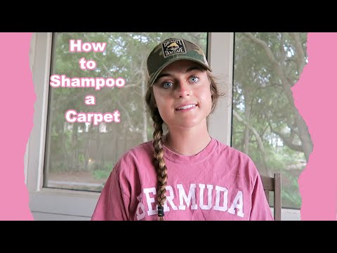How to Shampoo a Carpet