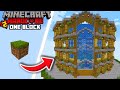 I Built a GIANT AQUARIUM in ONE BLOCK SKYBLOCK in Hardcore Minecraft!!
