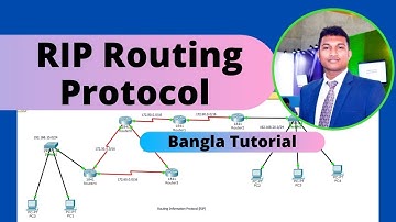 RIP Routing protocol Bangla Tutorial