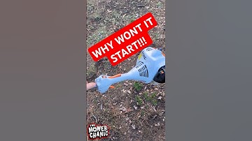 The Stihl Trimmer Won