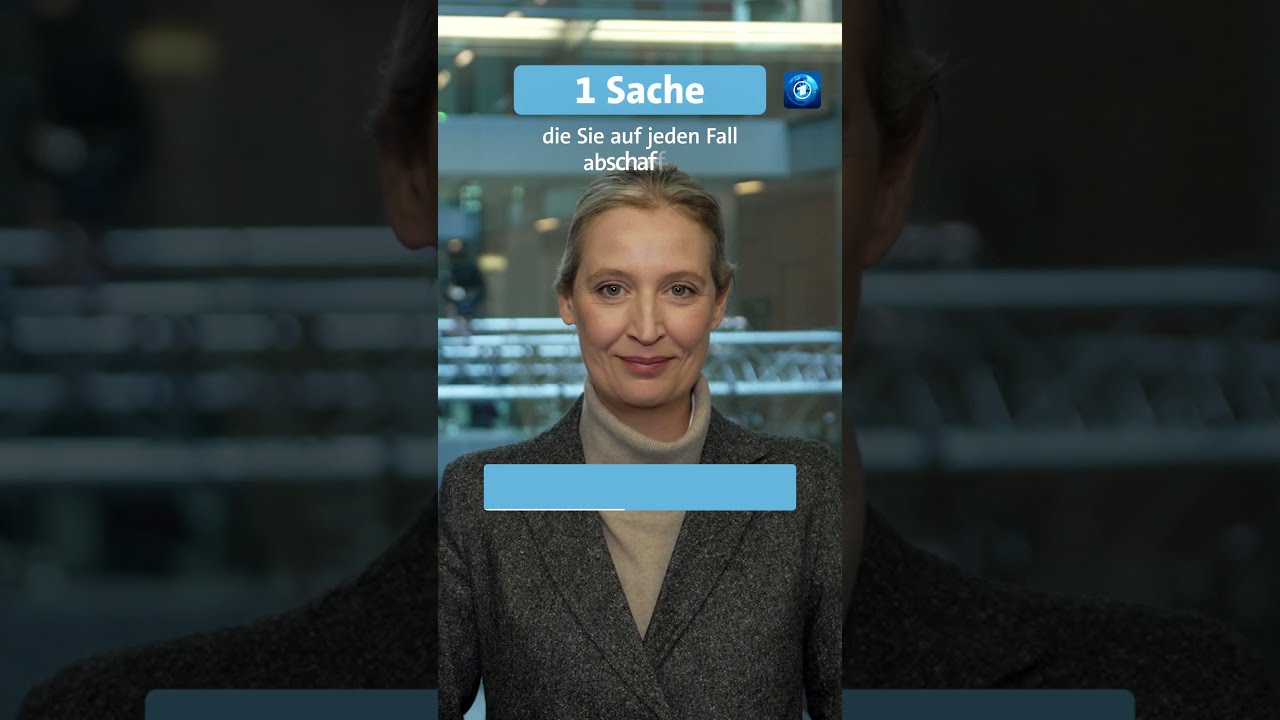 Vier Fragen 15 Sekunden Zeit Zu Antworten Alice Weidel AfD