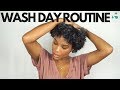 WASH DAY ROUTINE FOR NATURAL CURLY HAIR || Alyssa Marie