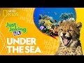 Humorous Tongue Twisters and Jokes