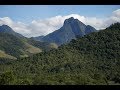 Brazil 2015 - The Atlantic Rainforest: Part 1: Reserva Ecologica de Guapiacu (REGUA)