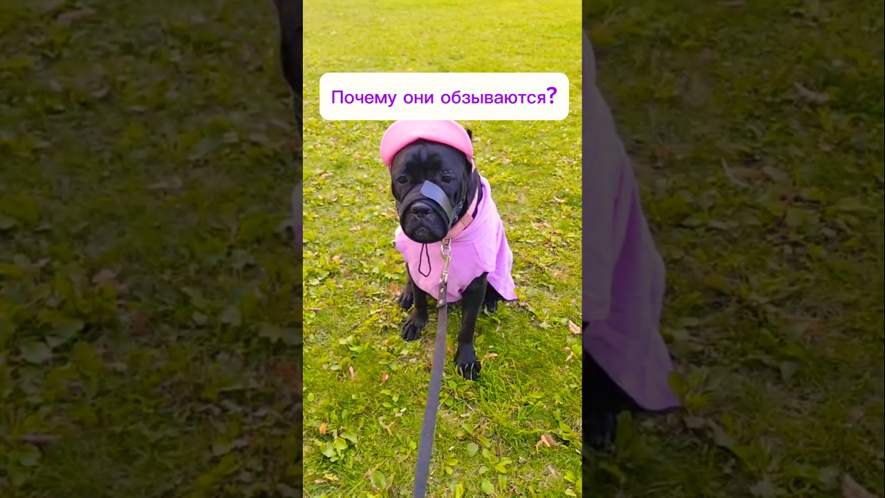 Почему они меня обижают?😭 