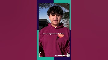 Child Labor:Where can I work?