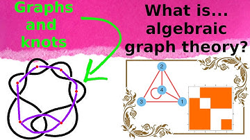 What is...the Tutte polynomial?