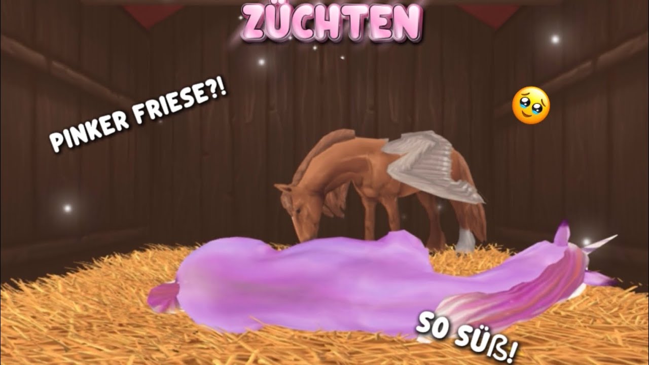 Pinken Friese züchten 👀🥳🫢🥹 | so süß | #horseridingtales 